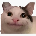 TinyNarwhal