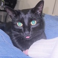 Munano420