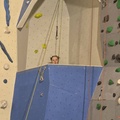 Můra